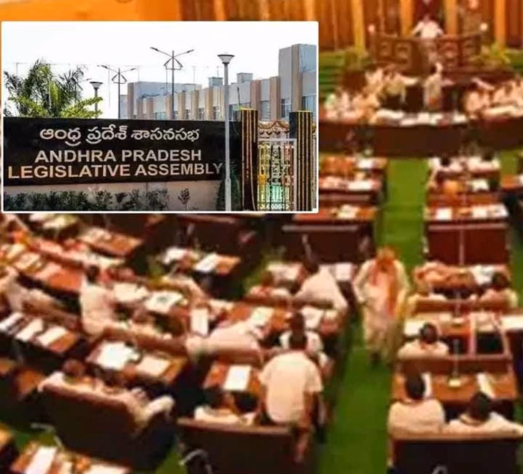 WhatsApp Image 2025 03 18 at 09.07.31