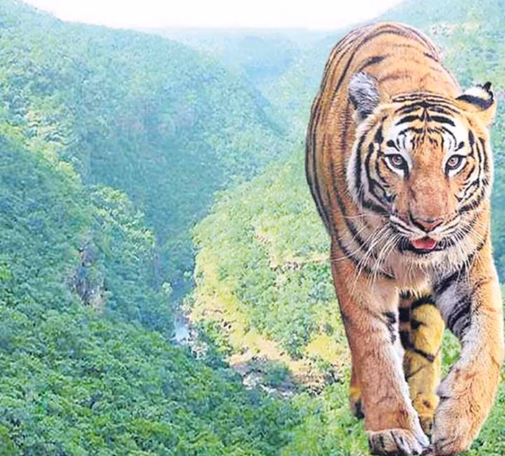 WhatsApp Image 2025 03 24 at 12.06.58