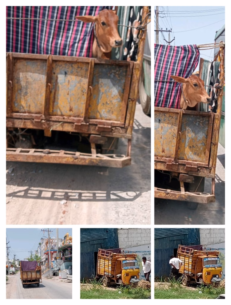 WhatsApp Image 2025 06 07 at 11.22.39