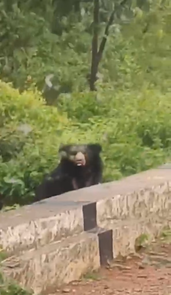 WhatsApp Image 2025 08 01 at 3.08.58 PM