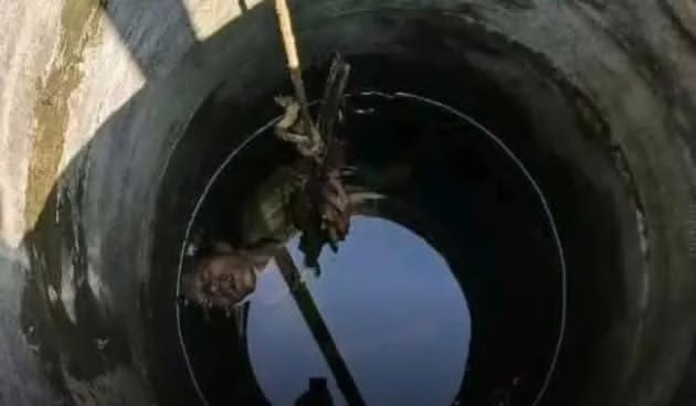 WhatsApp Image 2025 11 06 at 1.44.27 PM