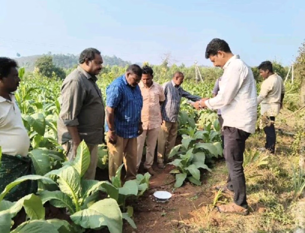 WhatsApp Image 2026 01 22 at 2.36.02 PM